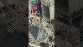 Shibuya scramble crossing Tokyo Japan [upl. by Adnawahs]