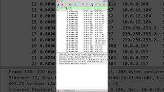 Wireshark  IP Address Filter [upl. by Drucill]