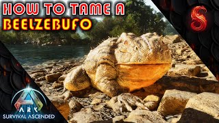 ARK SURVIVAL ASCENDED HOW TO TAME A BEELZEBUFO [upl. by Nnairam]