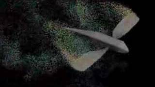 CFD Simulation of a FlappingWing Micro Air Vehicle [upl. by Llerred]