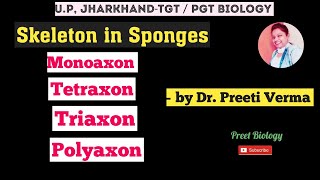 Skeleton in Sponges l Porifera l Non Chordate l PGT Biology exams l Phylum Zoology PreetBiology [upl. by Margaretha]