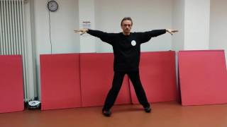 Esame Tai chi 1° Livello  Forme basi e Forma dellacqua [upl. by Fax36]