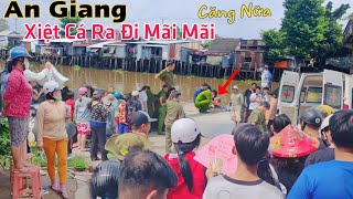 An Giang lại CĂNG ông lão 62T xiệt cá ra đi mãi mãi chỉ vì vài chục ngàn mưu sinh [upl. by Ahset]