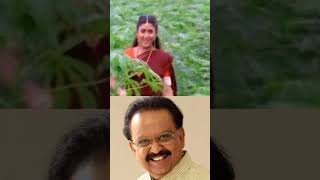 SPB amp ஸ்வர்ணலதா கூட்டணி பாடல்கள் 02 shorts spbalasubrahmanyam swarnalathasinger ilayaraja [upl. by Euqinot885]