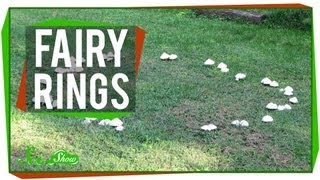 Fairy Rings [upl. by Nadroj860]