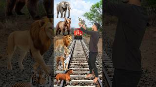 Wild Animals To Wild Animals Name Talking funny shorts mmmrazz comedy [upl. by Fleischer]