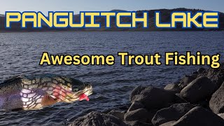 Epic Trout Fishing Day at Panguitch Lake Ice Off [upl. by Klimesh]