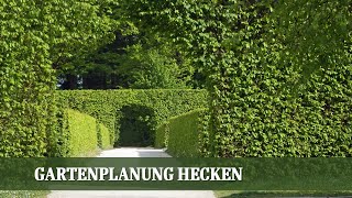 Gartenplanung Hecke  Wie finde ich meine Lieblingshecke [upl. by Tham]