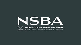 2024 NSBA World Show Saturday August 10 Mustang Arena [upl. by Arinaid]