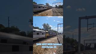 1AD8 races through Salisbury Interchange with NR27 Indian Pacific  NR35 shorts seb trains 4u [upl. by Hulbig]