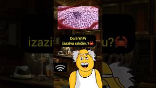 Da li zračenje WiFi mreže izaziva rak rak bolest wifi zracenje internet spavanje san mozak [upl. by Sialac]