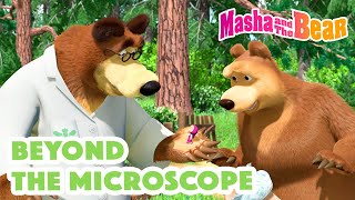 Masha and the Bear 2023 🔬 Beyond the Microscope 🧑‍🔬🧪 Best episodes cartoon collection 🎬 [upl. by Lemaj618]