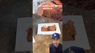 Cómo se fabrican los ladrillos de arcilla 🧱 ladrillos construccion fabricacion [upl. by Esya844]