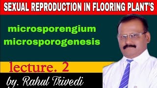 sexual reproduction in flowering plants class 12microsporangia microsporogenesis lecture 2 [upl. by Nonac]