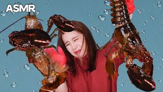 Mukbang 살아있는 가재 먹방🌊Live Lobster Sashimi クレイフィッシュ gia tài กุ้งนาง 螯蝦屬 Eatingsound Realsound ASMR [upl. by Beekman]