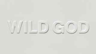 Nick Cave amp The Bad Seeds  Wild God Official Audio [upl. by Rosalinda]