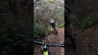 Following railsofwesternwashington6877 down Instant Larry at the 360 trails MTB park mtb rainyday [upl. by Reviel]