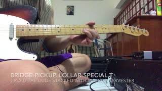 LOLLAR PICKUPS SPECIAL BRIDGE T and VINTAGE NECK T DEMO [upl. by Adnol]