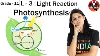 L 3 Photosynthesis in Higher Plants  Class 11 Biology  NEET 2020  AIIMS  Vaani Maam VBiotonic [upl. by Klemm]