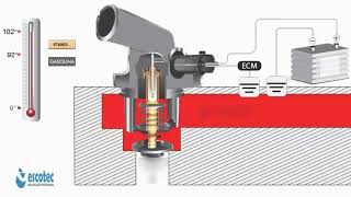 Como funciona a válvula termostática elétrica qual valor da resistência elétrica gasolina animação [upl. by Calder]