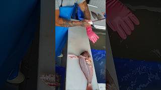 Fish Cutting shorts fish speedselvamcutting fishing selvamfastcutting [upl. by Dwane849]