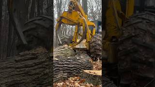 John Deere Forestry Equipment logger chainsaws skidder logging [upl. by Kim]