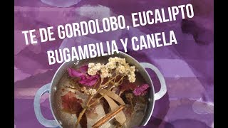 Té de gordolobo bugambilia eucalipto y canela [upl. by Lorien389]