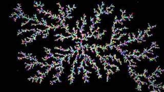 Diffusion Limited Aggregation 2D DLA 1 [upl. by Pier]