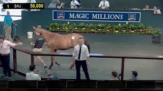 2020 Gold Coast Yearling Sale Day 1 Replay [upl. by Ymiaj]