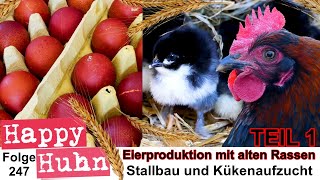 Eierproduktion mit alten Hühnerrassen TEIL 1 Stallbau  Küken Brut und Aufzucht  HAPPY HUHN E247 [upl. by Saul]