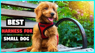 Best Harness for Small Dog Top 5 Reviews  Custom Fit Adjustable Dog Harness 2023 [upl. by Ahpla643]