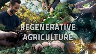 What is Regenerative Agriculture [upl. by Sly]