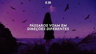 Imagine Dragons  Birds TRADUÇÃOLEGENDADO [upl. by Frankhouse]