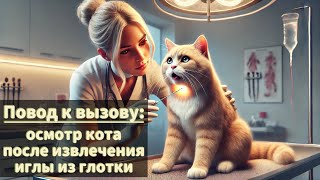 Повод к вызову осмотр кота после извлечения иглы из глотки [upl. by Monah]