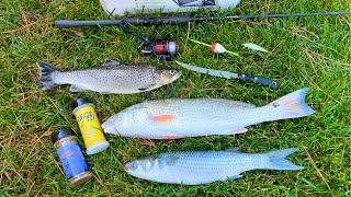 Brown TROUT Redfish and Mullet Catch Smoke and Eat [upl. by Schoof]