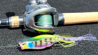 Frog Fishing For Bass  Everything You Need To Know [upl. by Eolande]