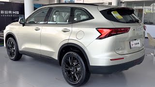 GWM Haval H6 2024 indepth Walkaround [upl. by Ariel]