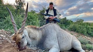 Tracking down mountain dwelling eland [upl. by Corneille49]