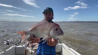 Early season Snapper eastern arm of Westernport [upl. by Umeko]