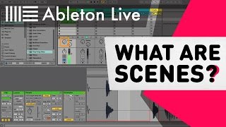 Ableton Live Tutorial  What are Scenes [upl. by Yenduhc]