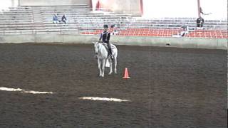 WI State 4H Horse Show Grade 10 Stock Seat Equitation Pattern [upl. by Ennovahc335]