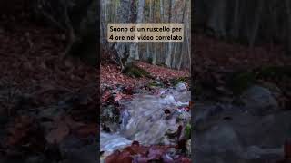 Suoni rilassanti della natura acquachescorre rumoredellacqua ruscello [upl. by Burkhard476]