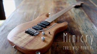 MIMICRY Music Video by instrumental band THREE WISE MoNKEYS [upl. by Eneliak133]