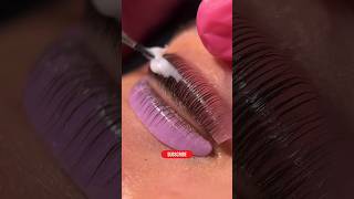 Lash lift tutorial beautiful beauty lashes lashlift shorts horbacholli [upl. by Aileme]