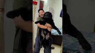 My Dog Hates Bath trending lucky doglover [upl. by Adnohsar]