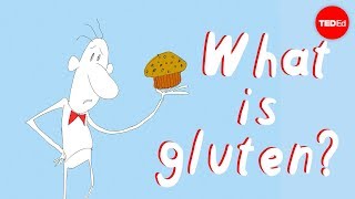 What’s the big deal with gluten  William D Chey [upl. by Leafar]