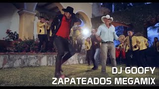 DJ GOOFY  HUAPANGOS SONES ZAPATEADOS MEGAMIX [upl. by Kaslik8]