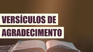 VERSÍCULOS DE AGRADECIMENTO [upl. by Akemaj]