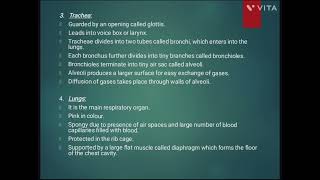 RESPIRATION IN ORGANISMS  SCIENCE CLASS 7 [upl. by Enobe858]