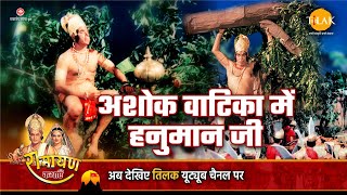 रामायण कथा अशोक वाटिका में हनुमान जी [upl. by Anitsyrhc]